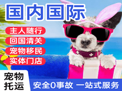 北海福成航空托运国际宠物托运 【国